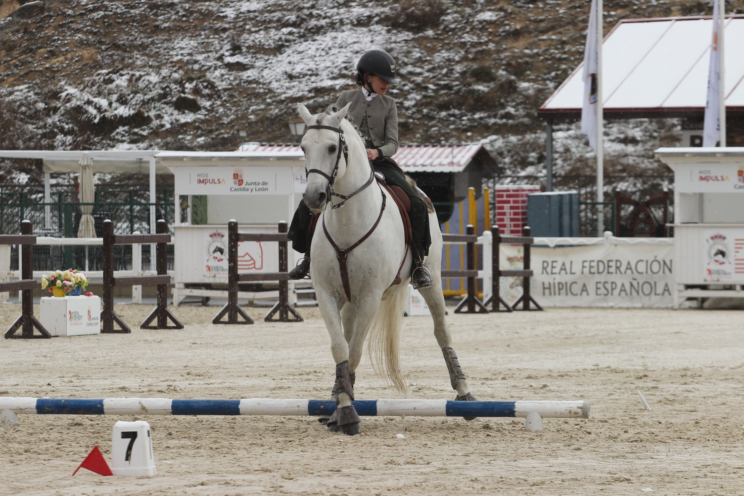 El jinete portugués Gilberto Filipe Silva se impone en el Internacional de Equitación de Trabajo