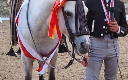 Campeonato de Castilla y León de Doma Vaquera 2024