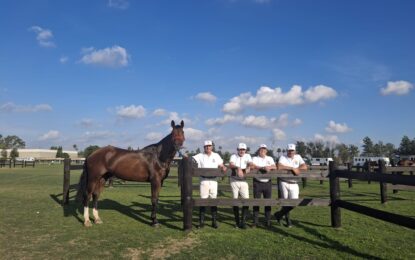 Castilla y León en el VIII Campeonato de España de Veteranos