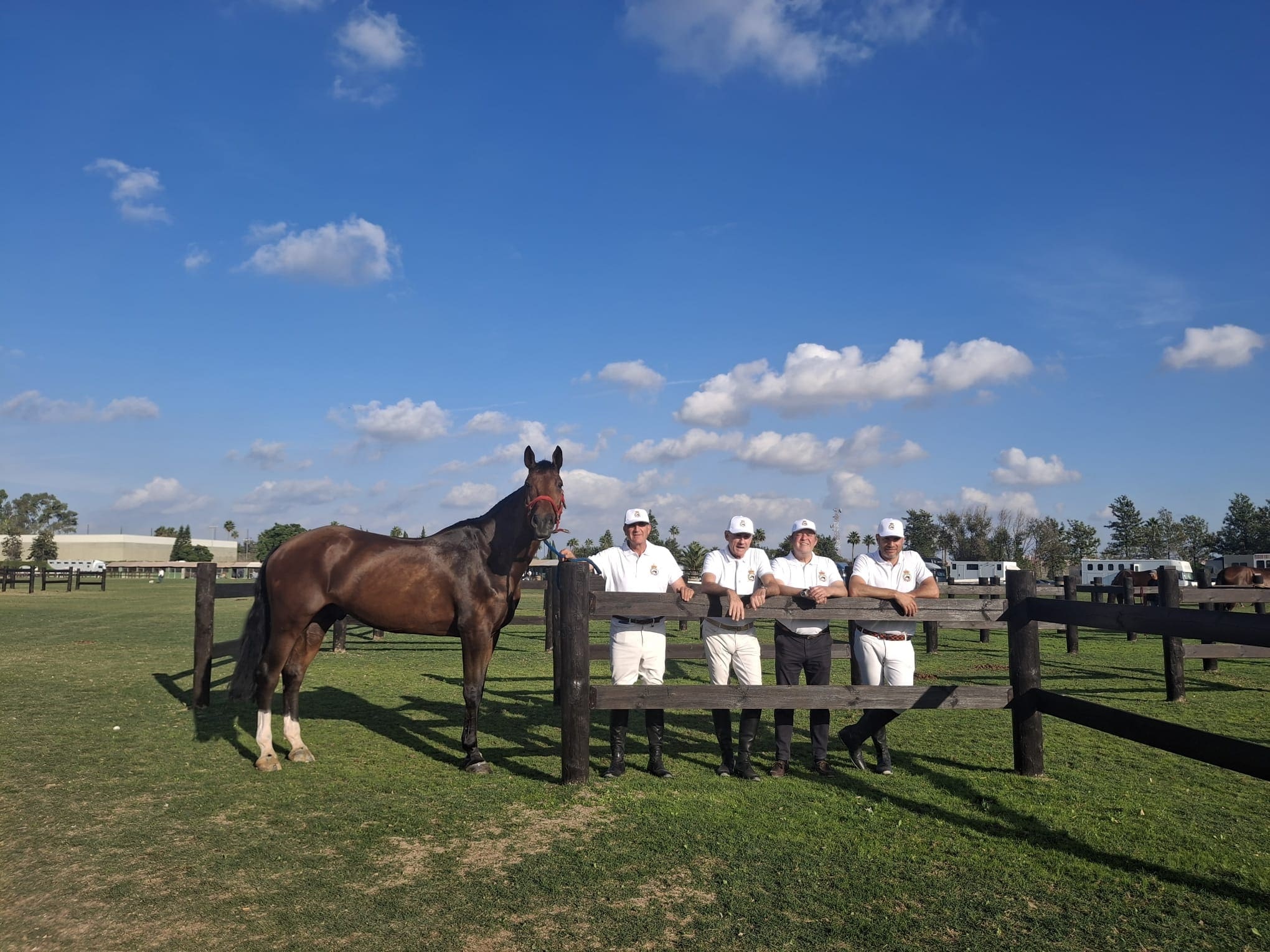 Castilla y León en el VIII Campeonato de España de Veteranos