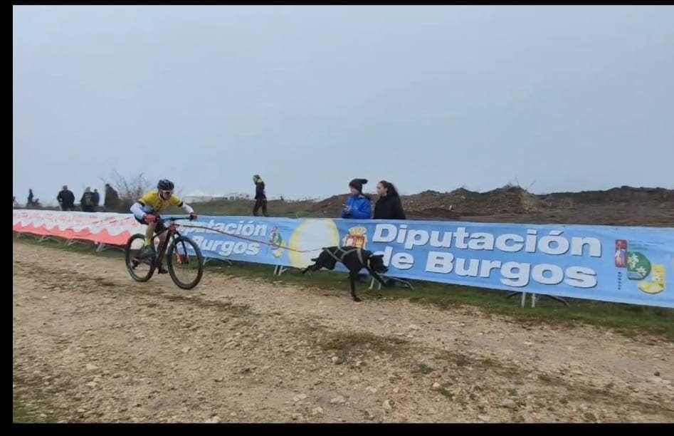 El Triatleta, David Revenga, del Club Triatlón IMD Segovia queda tercero en el Campeonato de España de Mushing en la categoría de Veteranos