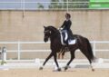 Arranca la “Semana de la Doma”, en el Centro Equus Duri de Zamora