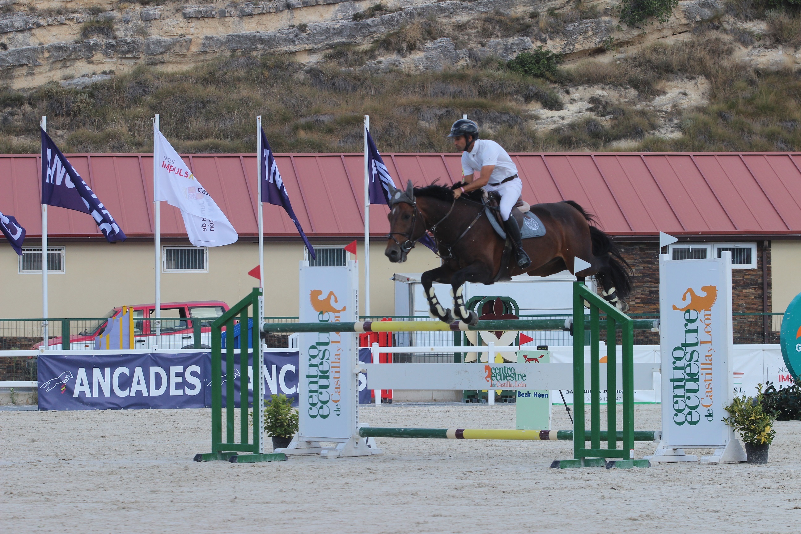 Segovia escenario de los Campeonatos de España de Yeguadas y Caballos Nacionales