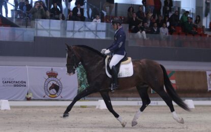 Centro Ecuestre de Castilla y León: Doblete de la Yeguada sevillana Torreluna